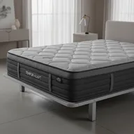 Tempur-Pedic Tempur-Adapt